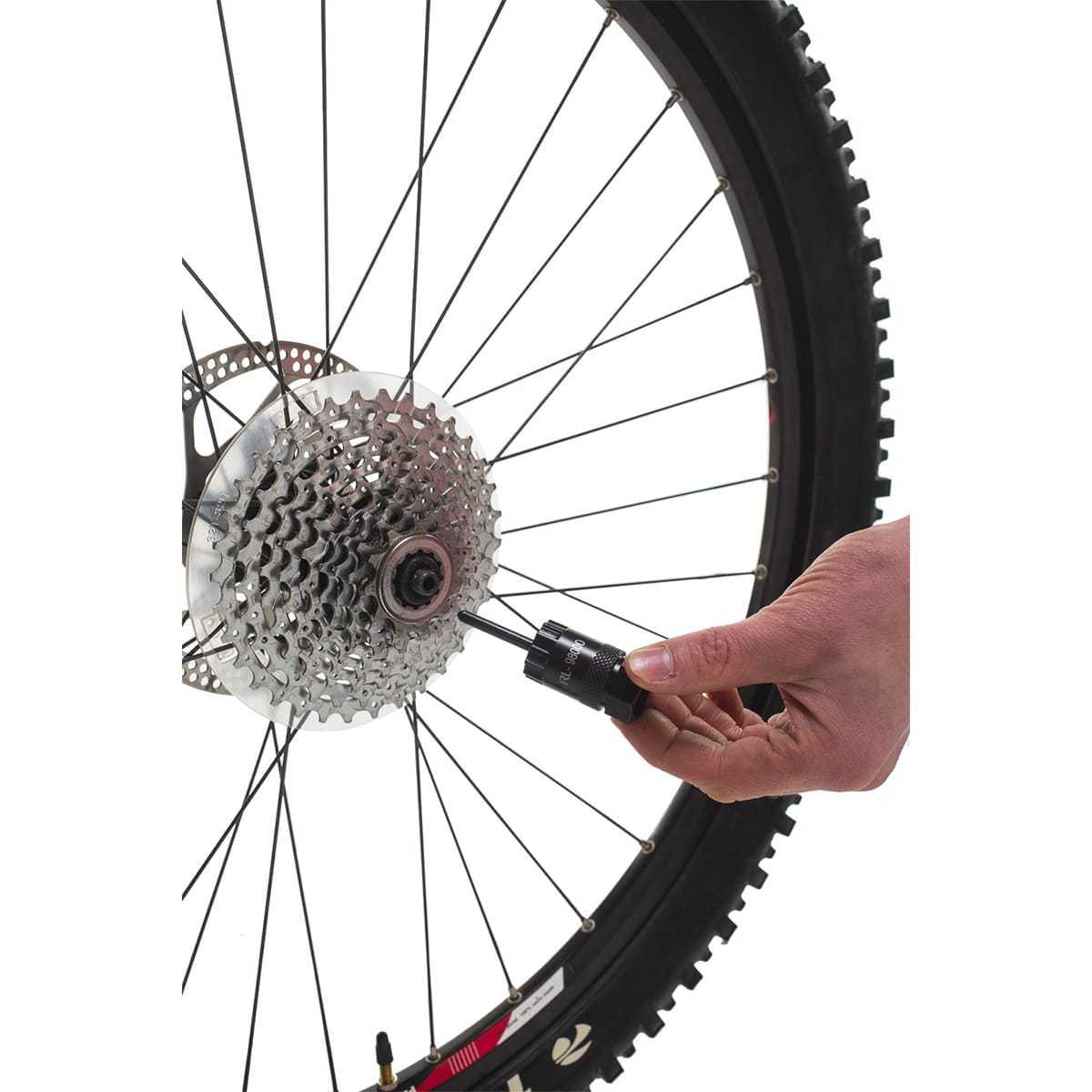 Outil 2-en-1 Démonte-Cassette Vélo : Compatible Shimano 5-12V, Idéal Pour Réparation Roue Libre - Double Fonction MF/CS