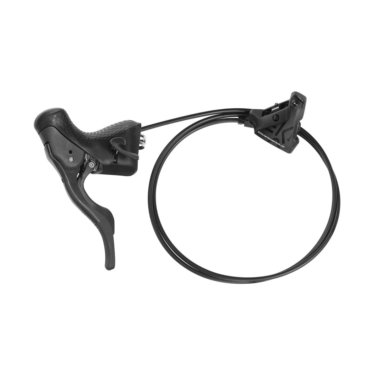 Viti Montaggio Pinza Freno Campagnolo H11 Disco 24mm - Kit 2 Bulloni Neri AC18-DBSC24